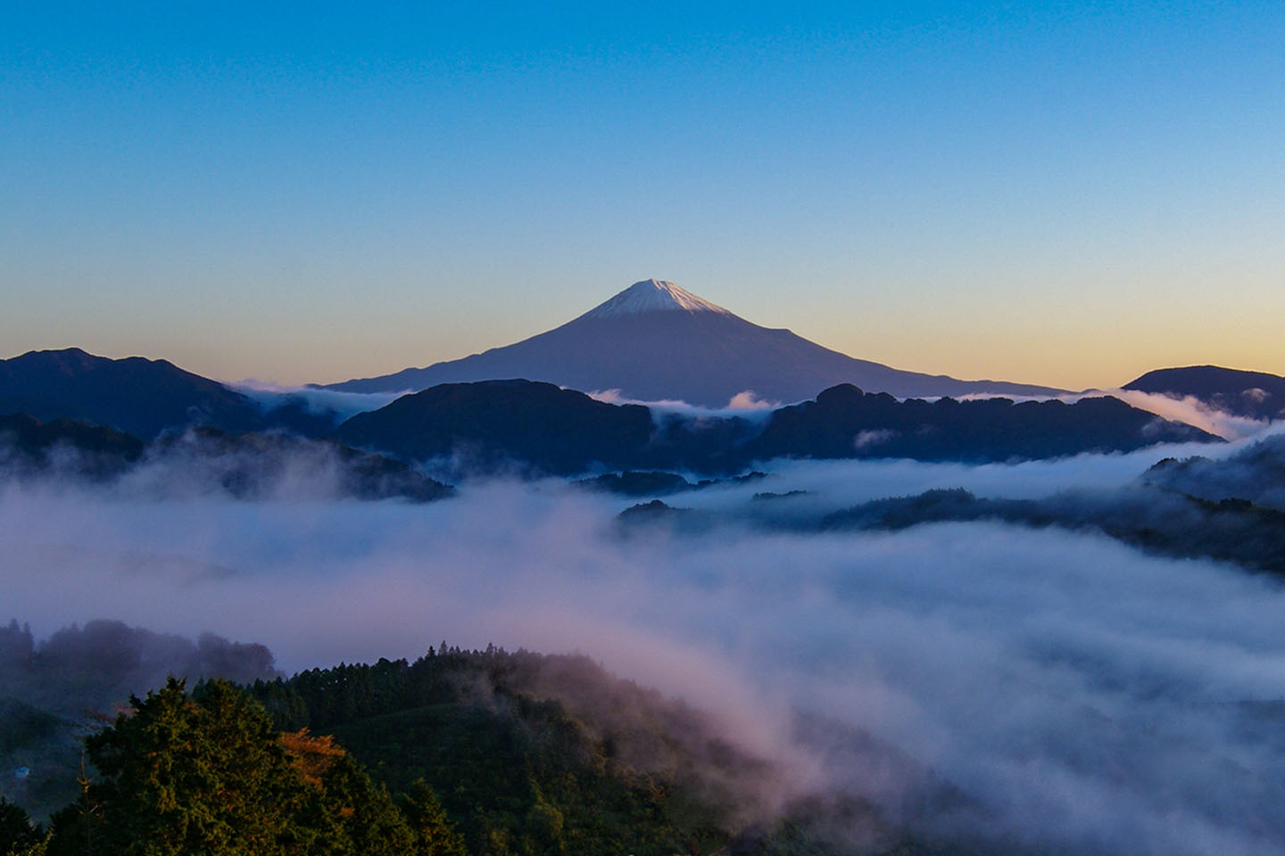 富士山の写真